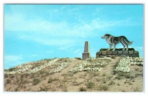 FORT BENTON, MT Montana~ MONUMENT to SHEP ~ A Loyal DOG c1960s Roadside Postcard