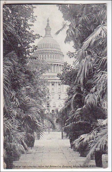 Capitol from Botanical Gardens, Washington DC