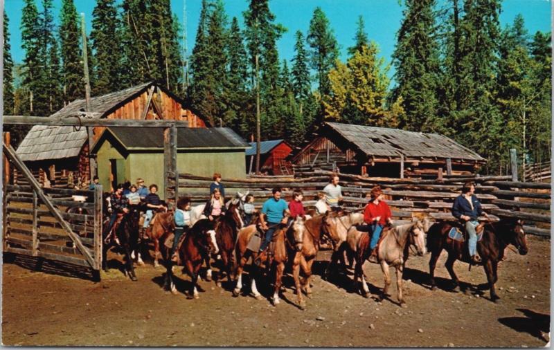 Watch Lake Lodge Lone Butte BC 70 Mile House Trail Rides Cabins Postcard D61