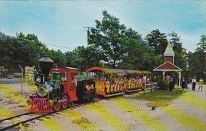 California Mountain View Miniature Railway