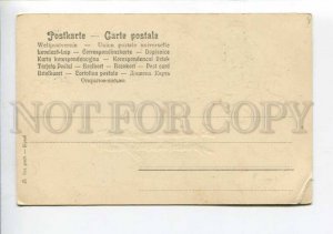 422968 Funny MONKEY on Tree Vintage OPF postcard