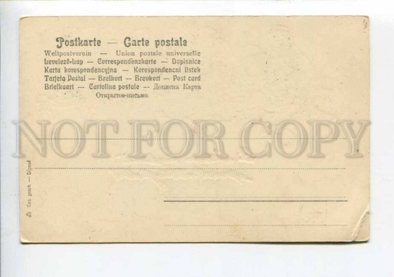 422968 Funny MONKEY on Tree Vintage OPF postcard