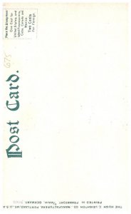 New Hampshire Adirindack  Forest Home Road