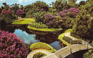 reflection lagoon Azaleas and flowering Cypress Gardens, Florida  