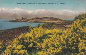 Canada Victoria Broom Trail Island and Olympic Range