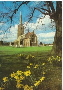 Cambridgeshire Postcard - St Wendreda's Church - March - Daffodils - Ref TZ2183