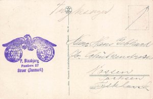 Denmark 1927 Lyngbygaard Jylland Flag vintage postcard