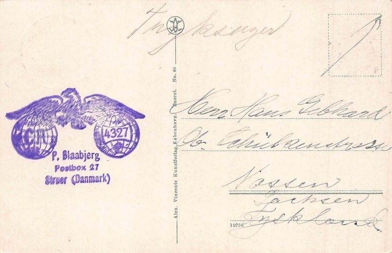 Denmark 1927 Lyngbygaard Jylland Flag vintage postcard