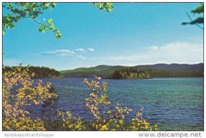 Canada Mcleod Lake Williams Lake British Columbia