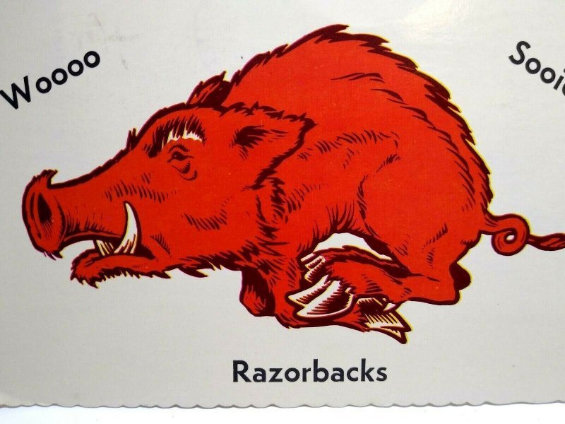 Razorbacks Wild Pig Hog Boar Mascot Vintage Postcard Fayetteville Arkansas  1980
