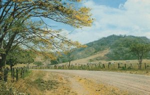 Guanacaste Costa Rica American Cattle Mountains 1970s Postcard