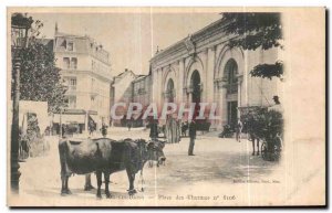 Old Postcard Aix Les Bains Place des Thermes Cows Chaise carrier