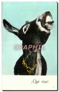 Old Postcard What risaAne Donkey