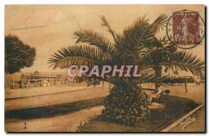 Old Postcard Arcachon Gironde Palm Promenade Boulevard and Debarcadere