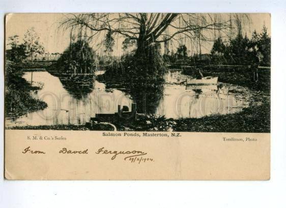 144848 NEW ZEALAND MASTERTON Salmon Ponds Vintage postcard