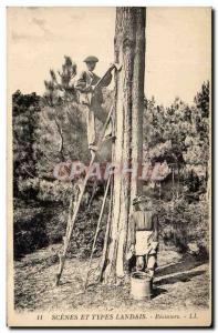 Old Postcard Scenes and Types The Landes résiniers TOP