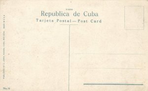 cuba, HAVANA, Nursing Goat, Chiva Criandera (1910s) Postcard
