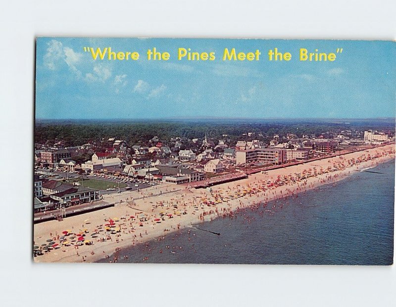 Postcard Where the Pines Meet the Brine, Aerial of Rehoboth Beach, Delaware