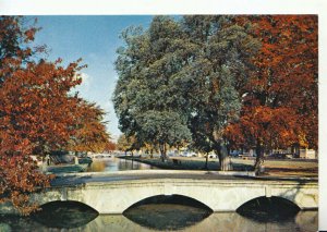 Gloucestershire Postcard - Bourton-on-The-Water - Ref TZ8772