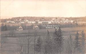 The White City Real Photo Sonyea, New York NY USA Shaker Unused 