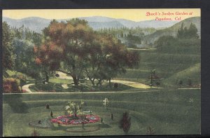 America Postcard - Busch's Sunken Garden at Pasadena, California  Q467