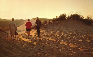 Vintage Postcard Twilight on the Dunes Walking Through Cape Cod Massachusetts MA