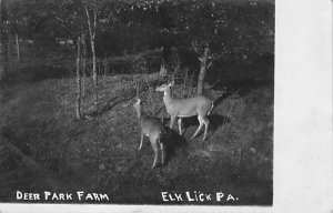 Deer Park Farm real photo - Elk Lick, Pennsylvania PA  