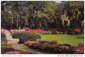 North Carolina Wilmington Airlie Gardens