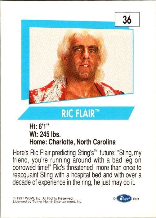 1991 WCW Wrestling Card Ric Flair sk21168