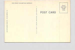 BIG LARGE LETTER VINTAGE POSTCARD GREETINGS FROM PENNSYLVANIA DANVILLE