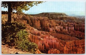 Vintage Bryce Canyon National Park Utah Postcard Boat Mesa & Queen's Garden