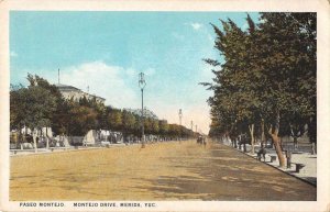 Merida Yucatan Mexico Montejo Drive Street Scene Vintage Postcard AA31425