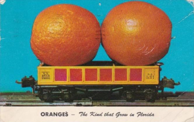 Humour Exageration Giant Oranges On Train Car The Kind That Grow In Florida 1957