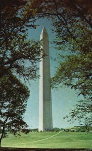 Postcard The Washington Monument Tallest Masonry Structure Washington DC
