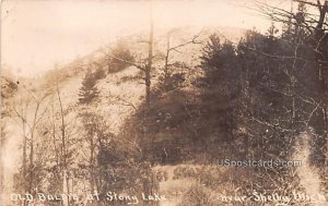 Old Baldys at Stony Lake - Shelby, Washington WA  