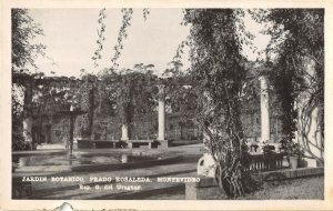 Montevideo Uruguay 1930s RPPC Real Photo Postcard Jardin Botanico Prado Rosaleda