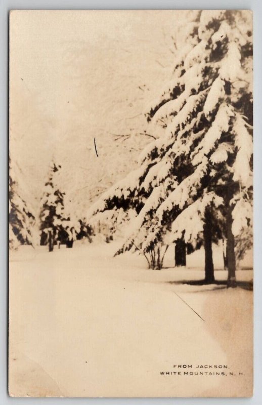 RPPC From Jackson White Mountains NH Snow Flocked Trees Real Photo Postcard Y26