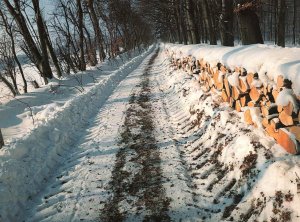 Road Scene,Denmark