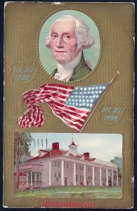 'Washington' Portrait Flag & Birth Death Dates Used 1909