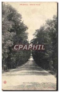 Old Postcard Die Allee acacias