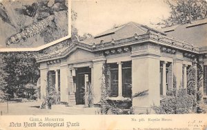 Ghila Monster Zoo 1904 