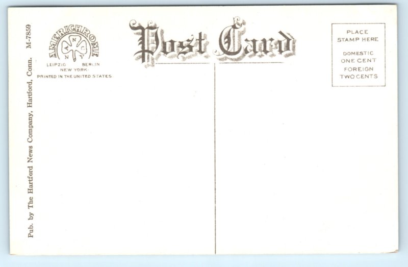 CT Charter Oak Tree Connecticut Hartford Postcard