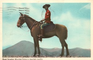 Vintage Postcard 1953 Royal Canadian Mounted Police Riding Horse Mountain Canada