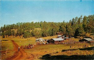 Postcard 1950s Arizona Alpine Wilbanks Sprucedake Ranch Norm's AZ24-2316