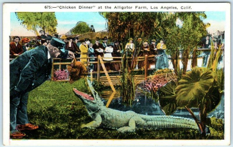 LOS ANGELES, California CA   Chicken Dinner at ALLIGATOR FARM c1910s Postcard