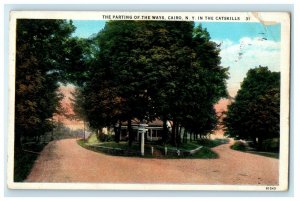 1929 Cairo New York NY, The Parting Of The Ways, In The Catskills Postcard 