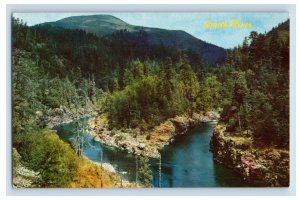 Vintage Forks Of Smith River Crescent City California Postcard P135E