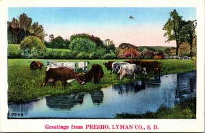 Greetings from Presho, Lymon County South Dakota Postcard cows, river NYCE