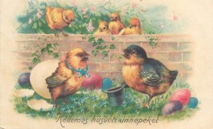 Easter greetings postcard 1928 Hungary drawn poultry chickens & penciled eggs 