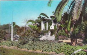 Algeria Boufarik Le Jardin Public Real Photo